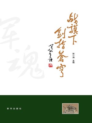 cover image of 战旗下剑指苍穹